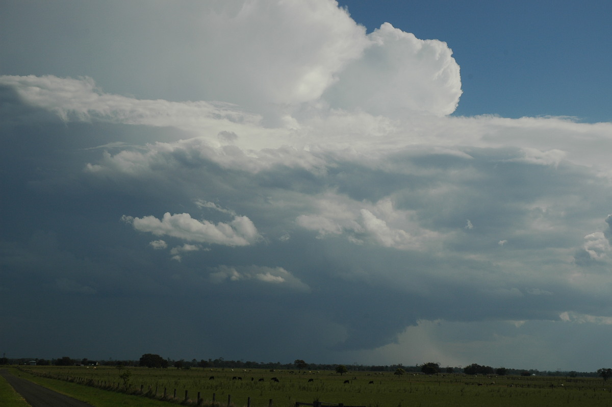 updraft thunderstorm_updrafts : McKees Hill, NSW   1 November 2006