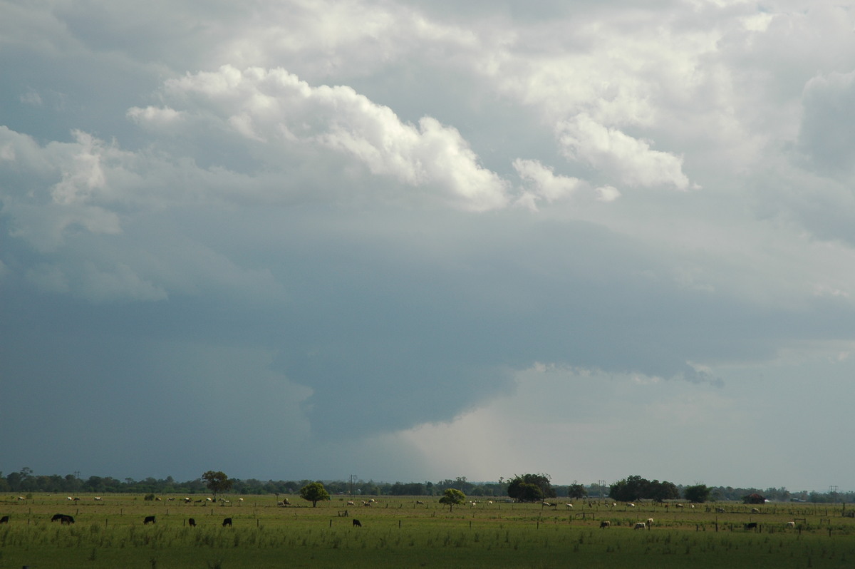 wallcloud thunderstorm_wall_cloud : McKees Hill, NSW   1 November 2006