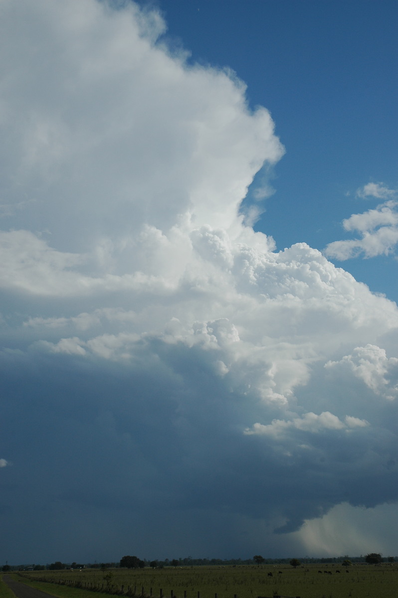 wallcloud thunderstorm_wall_cloud : McKees Hill, NSW   1 November 2006