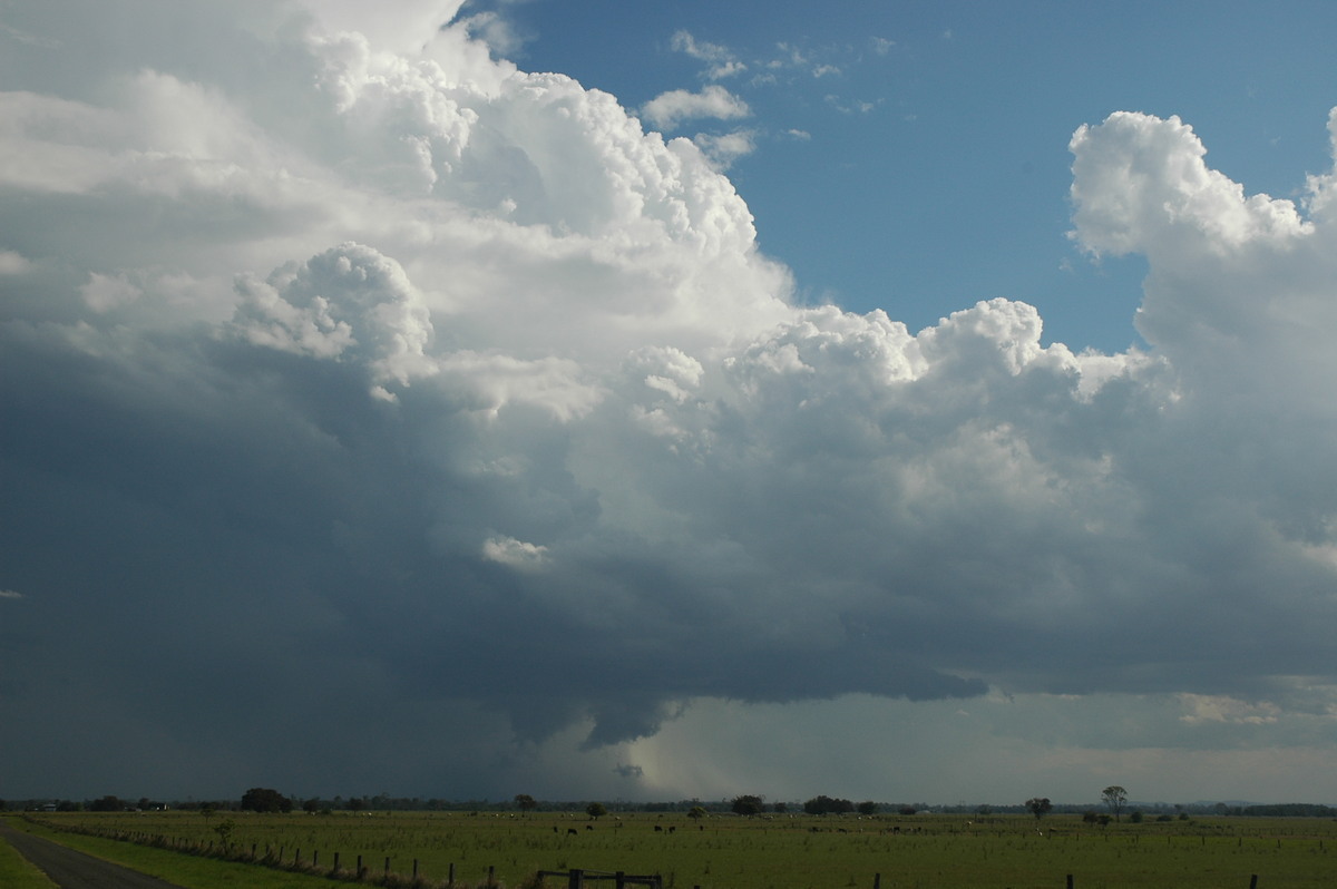 updraft thunderstorm_updrafts : McKees Hill, NSW   1 November 2006