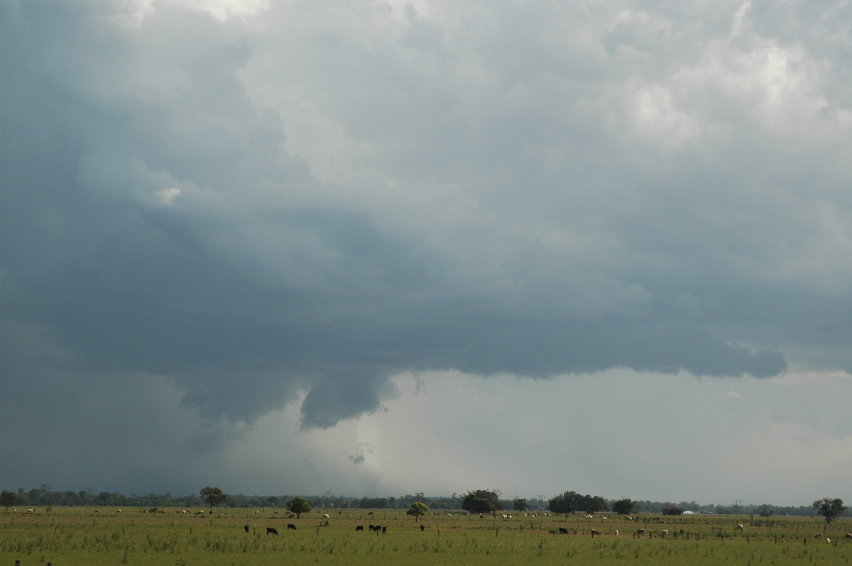 wallcloud thunderstorm_wall_cloud : McKees Hill, NSW   1 November 2006