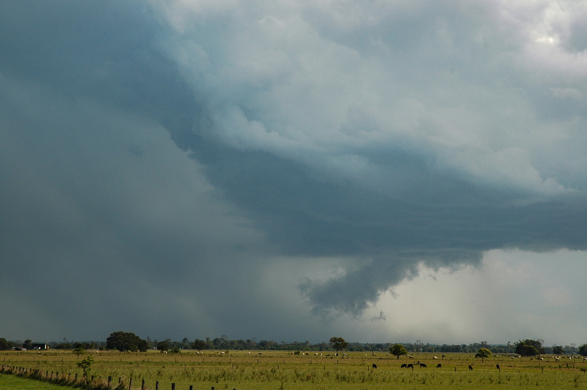 wallcloud thunderstorm_wall_cloud : McKees Hill, NSW   1 November 2006