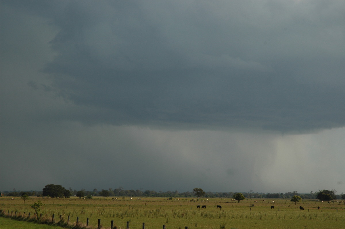 raincascade precipitation_cascade : McKees Hill, NSW   1 November 2006