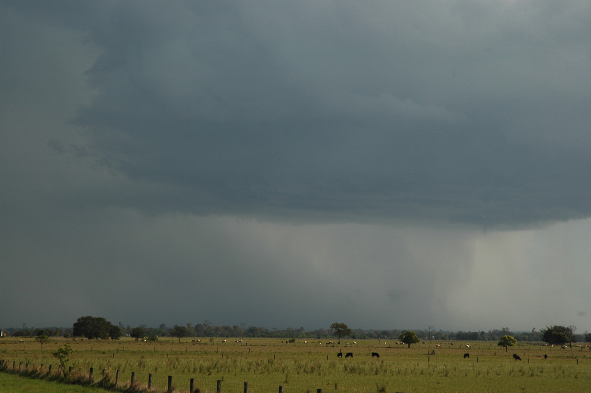 cumulonimbus thunderstorm_base : McKees Hill, NSW   1 November 2006