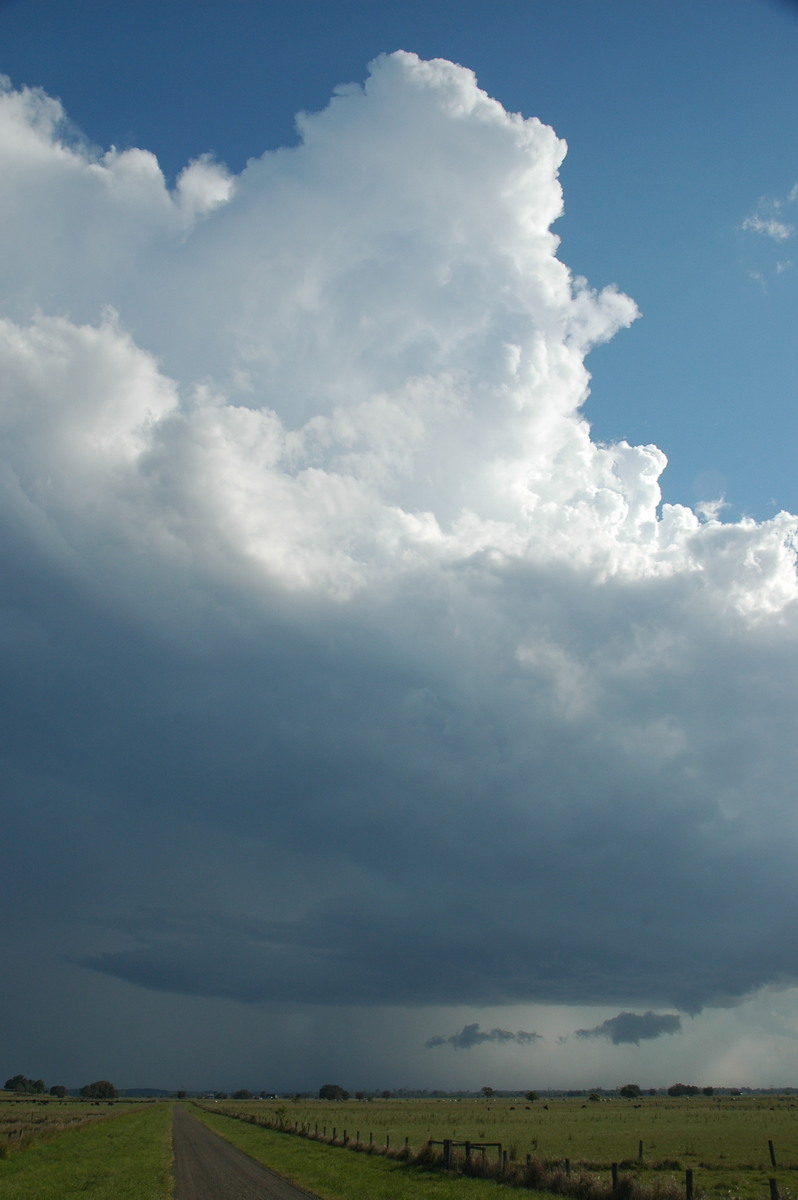 cumulonimbus thunderstorm_base : McKees Hill, NSW   1 November 2006