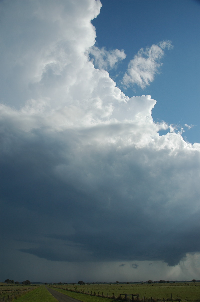 cumulonimbus thunderstorm_base : McKees Hill, NSW   1 November 2006