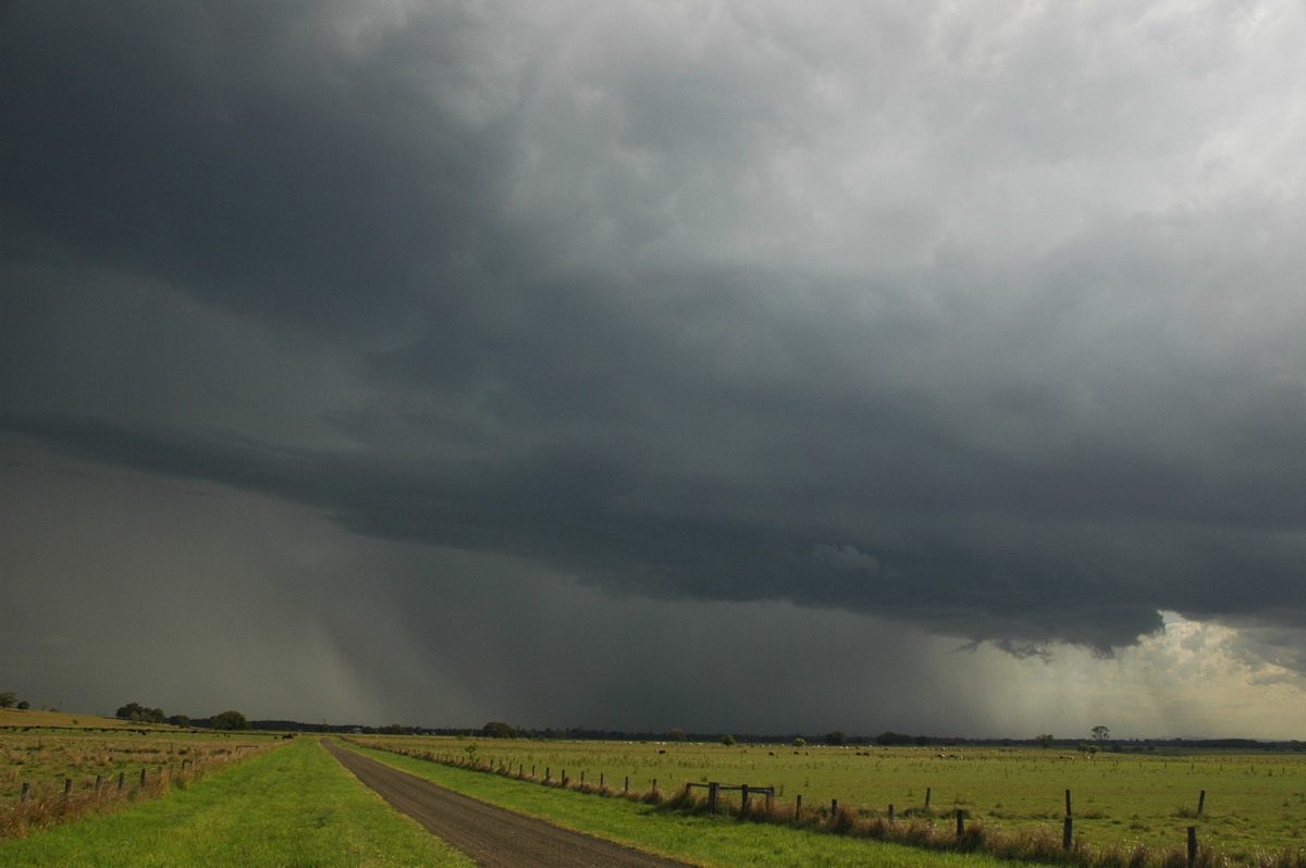 raincascade precipitation_cascade : McKees Hill, NSW   1 November 2006