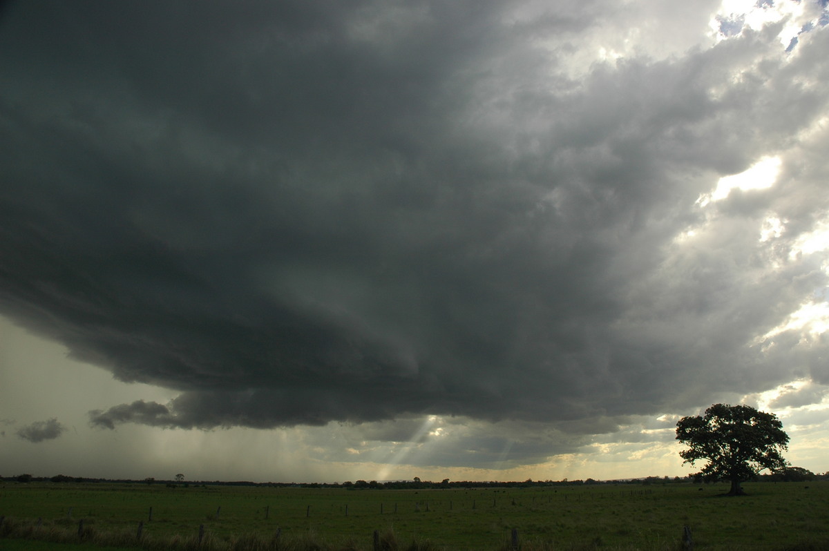 cumulonimbus thunderstorm_base : McKees Hill, NSW   1 November 2006