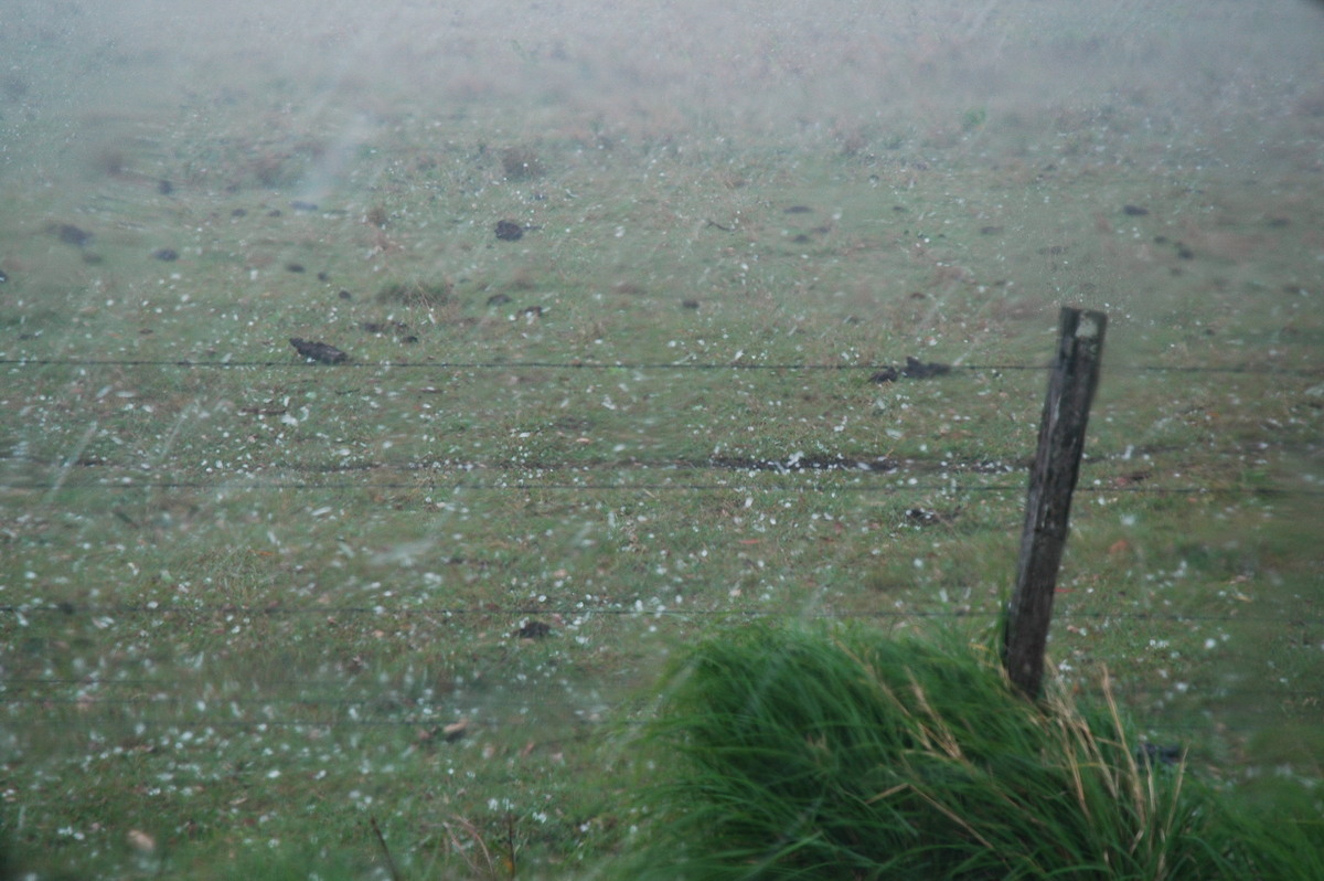 precipitation precipitation_rain : NE of Casino, NSW   1 November 2006