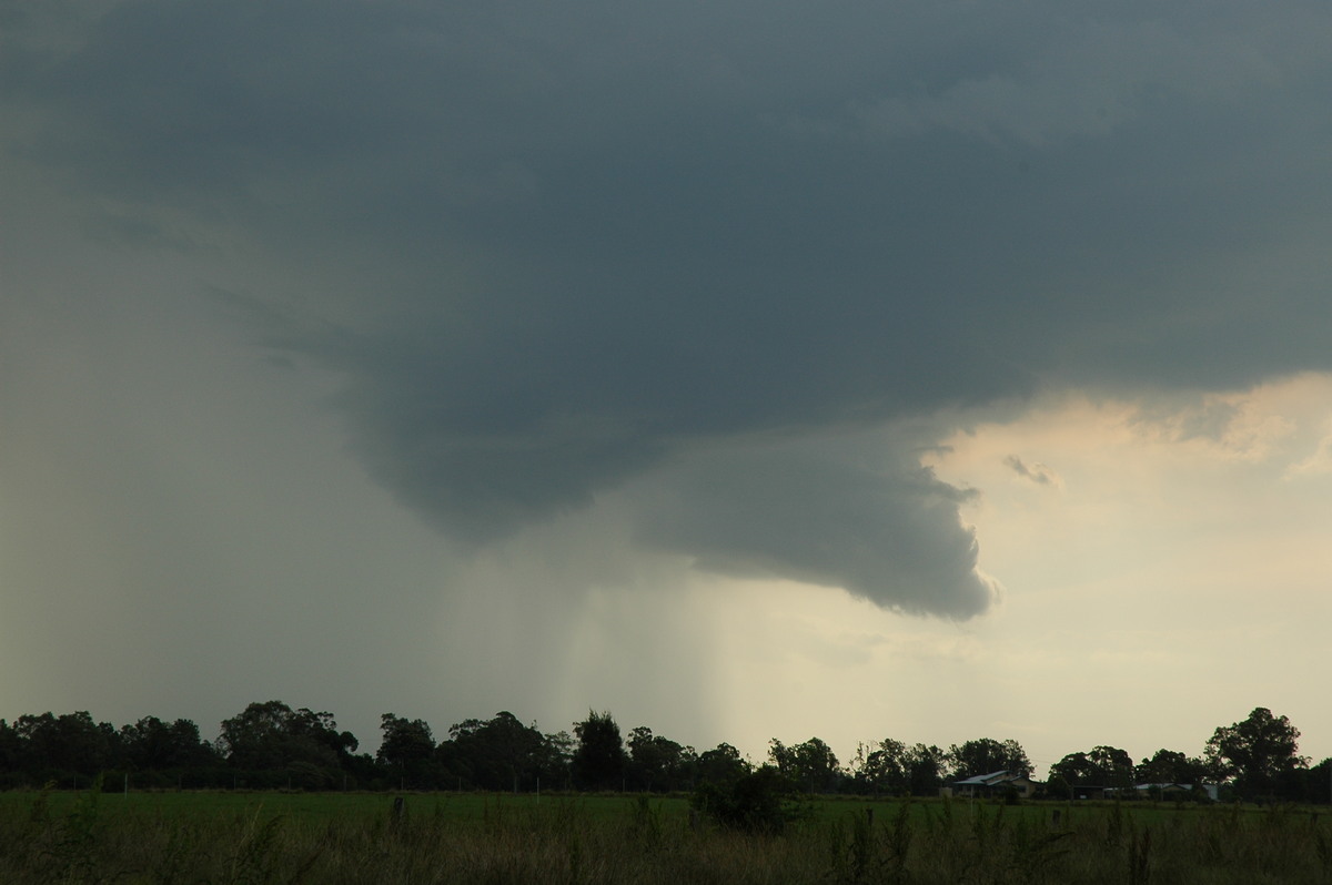 cumulonimbus thunderstorm_base : Ruthven, NSW   2 November 2006