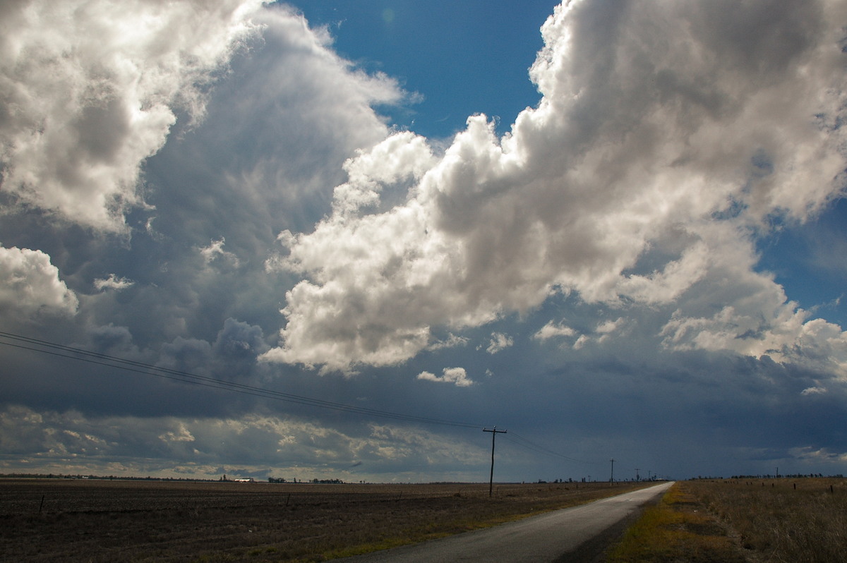 anvil thunderstorm_anvils : Dalby, QLD   4 November 2006