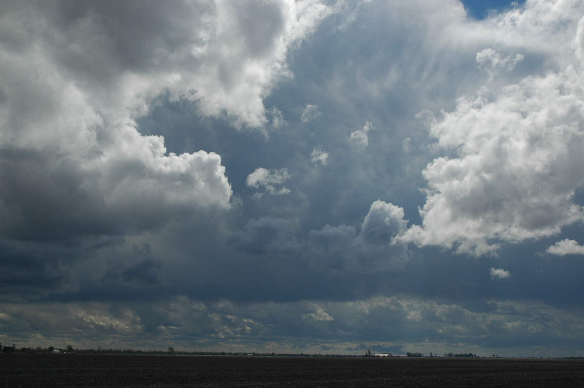 mammatus mammatus_cloud : Dalby, QLD   4 November 2006