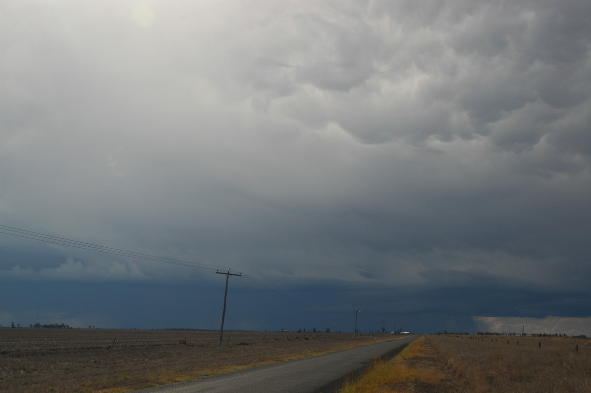 mammatus mammatus_cloud : Dalby, QLD   4 November 2006