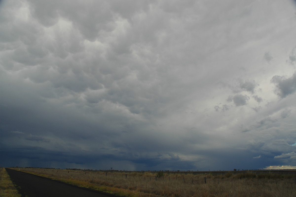 cumulonimbus thunderstorm_base : Dalby, QLD   4 November 2006