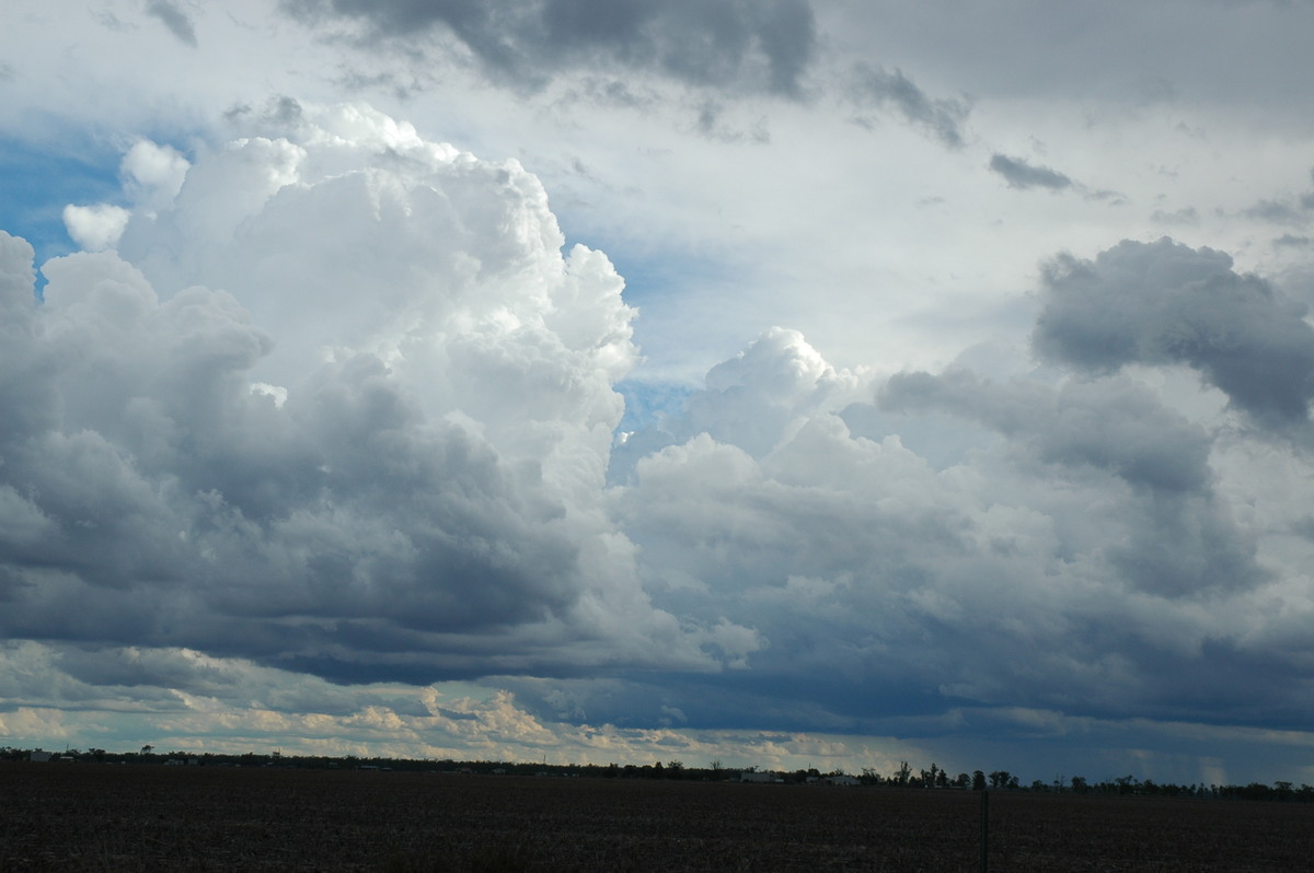 thunderstorm cumulonimbus_calvus : Dalby, QLD   4 November 2006