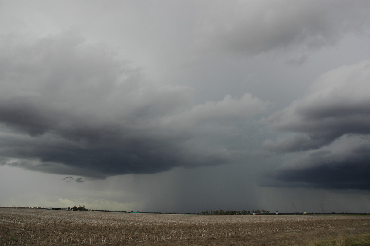 cumulonimbus thunderstorm_base : Dalby, QLD   4 November 2006