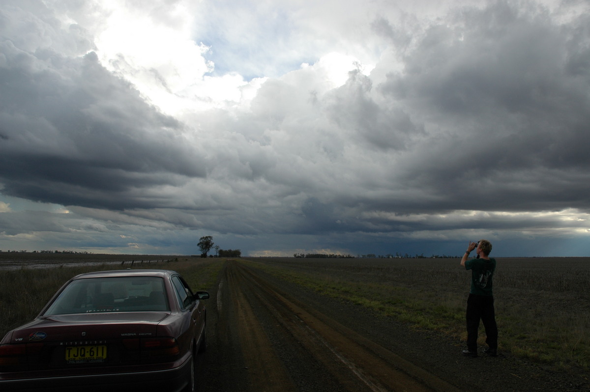 cumulus congestus : Dalby, QLD   4 November 2006