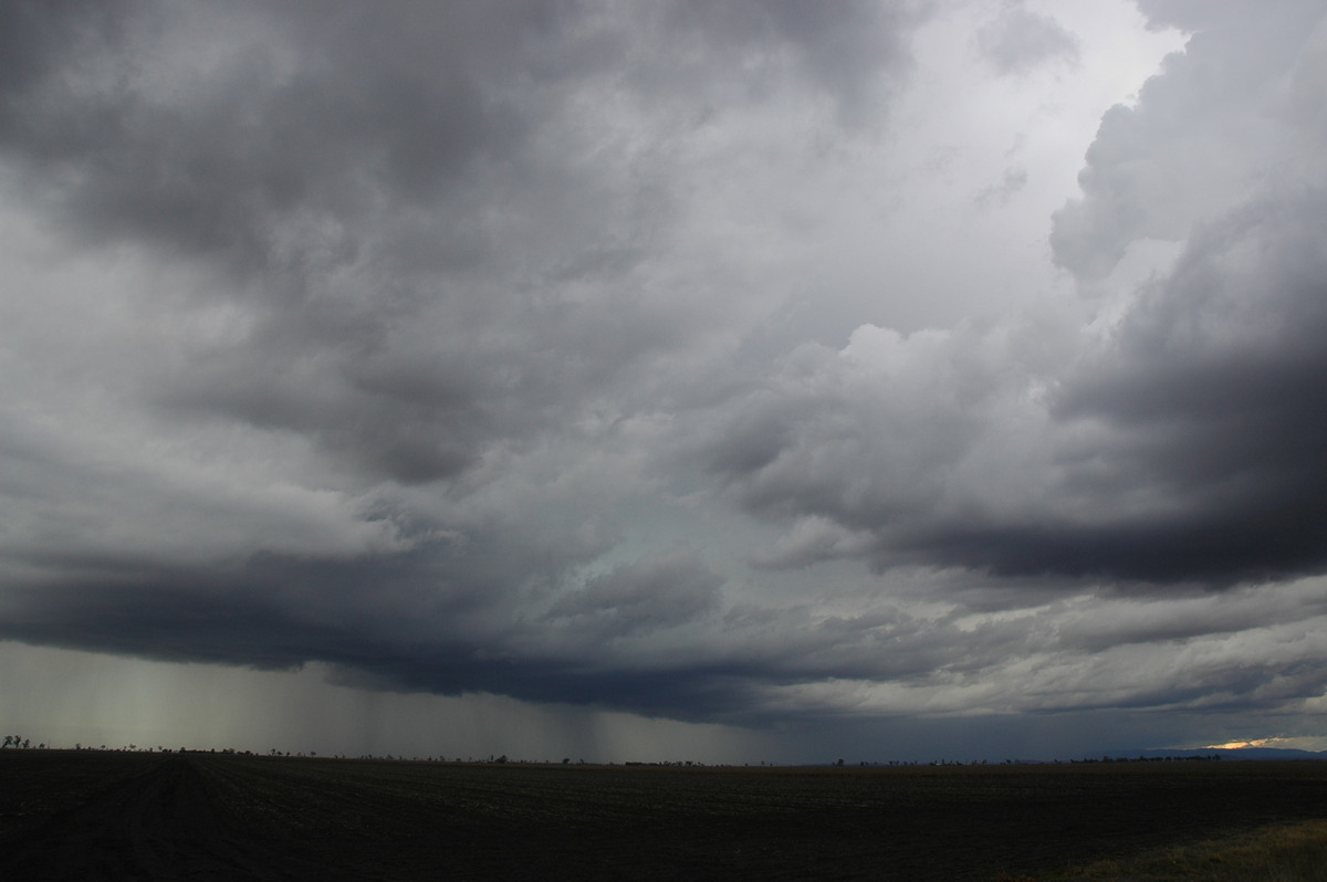 cumulonimbus thunderstorm_base : Dalby, QLD   4 November 2006