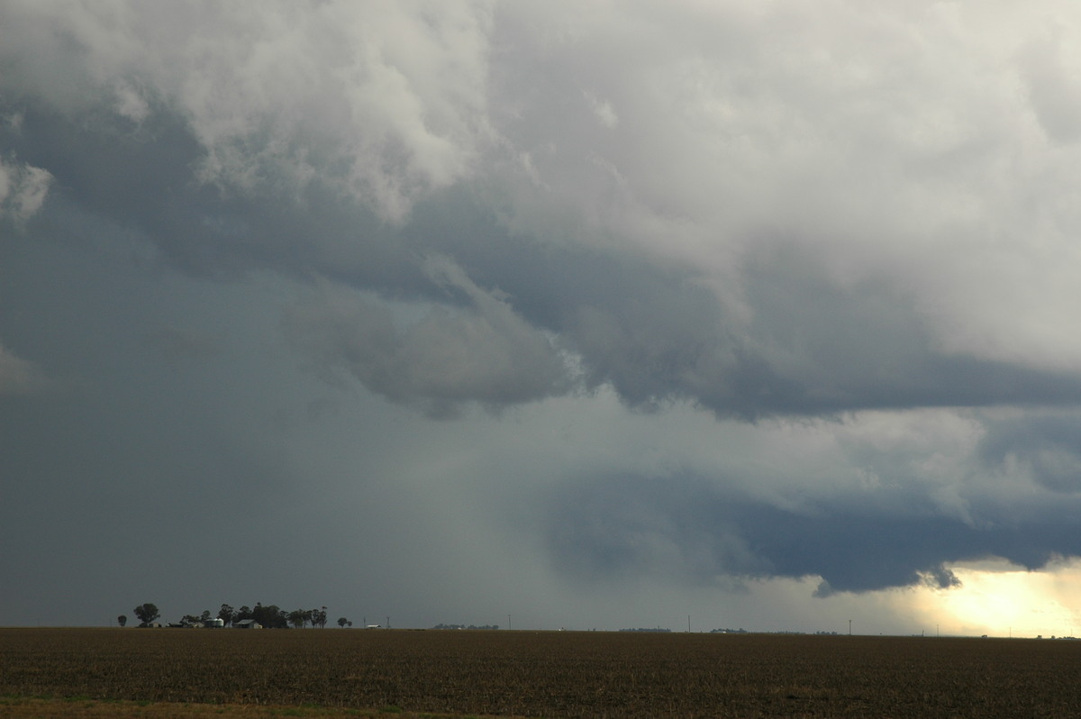 cumulonimbus thunderstorm_base : SE of Dalby, QLD   4 November 2006