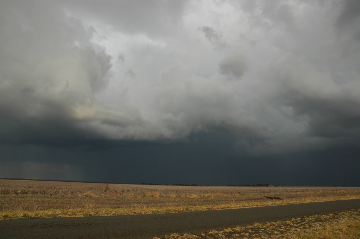 cumulonimbus thunderstorm_base : SE of Dalby, QLD   4 November 2006