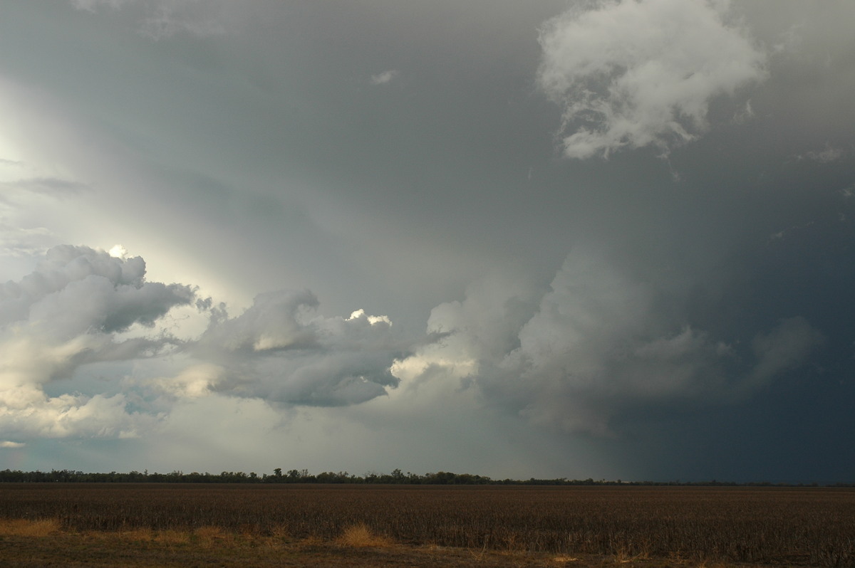 updraft thunderstorm_updrafts : SE of Dalby, QLD   4 November 2006