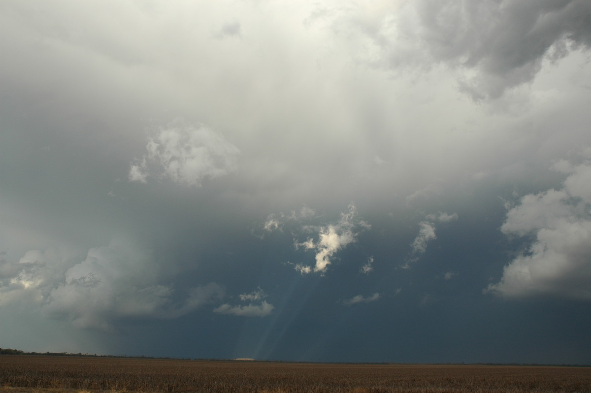 anvil thunderstorm_anvils : SE of Dalby, QLD   4 November 2006