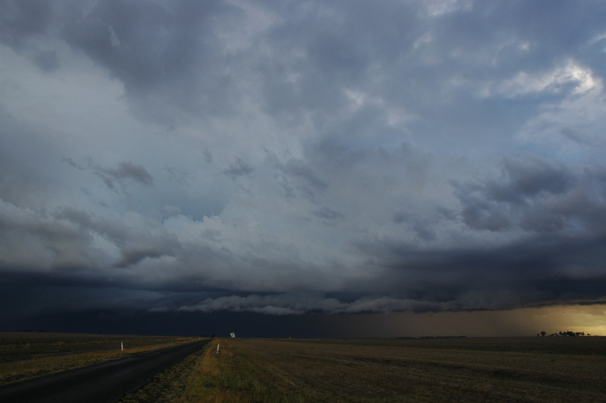 cumulonimbus thunderstorm_base : SE of Dalby, QLD   4 November 2006