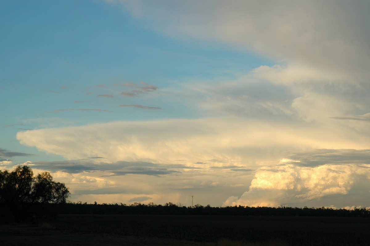 thunderstorm cumulonimbus_incus : SE of Dalby, QLD   4 November 2006