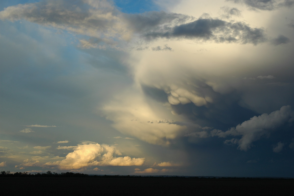 thunderstorm cumulonimbus_incus : SE of Dalby, QLD   4 November 2006