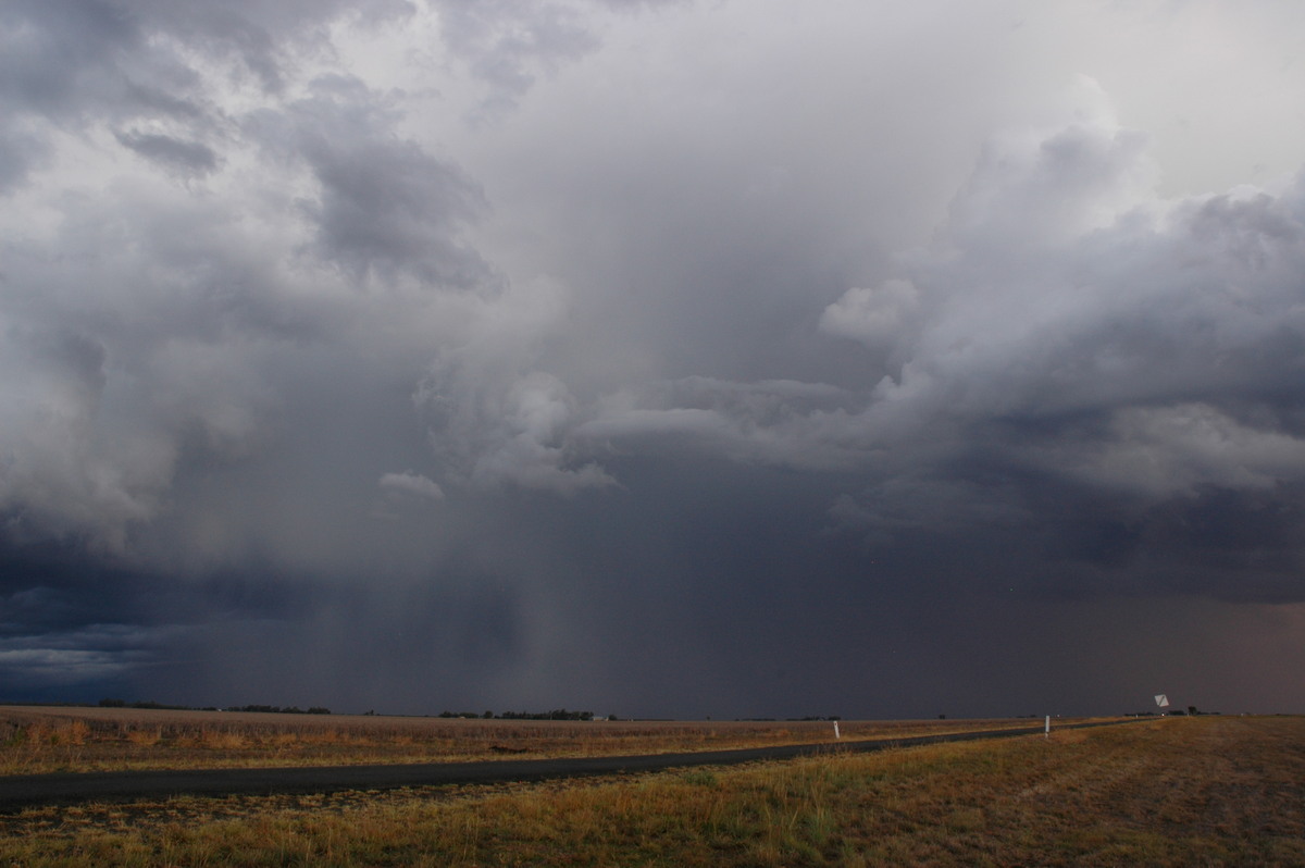 cumulonimbus thunderstorm_base : SE of Dalby, QLD   4 November 2006