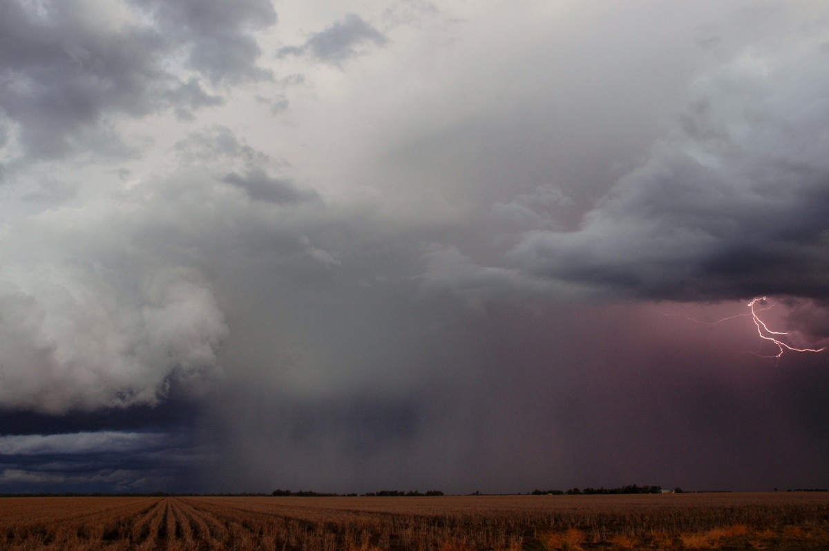 favourites michael_bath : SE of Dalby, QLD   4 November 2006