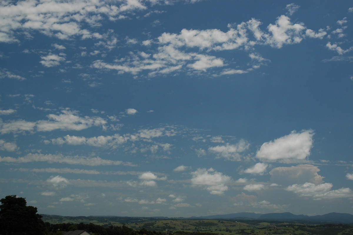 cumulus humilis : McLeans Ridges, NSW   8 November 2006