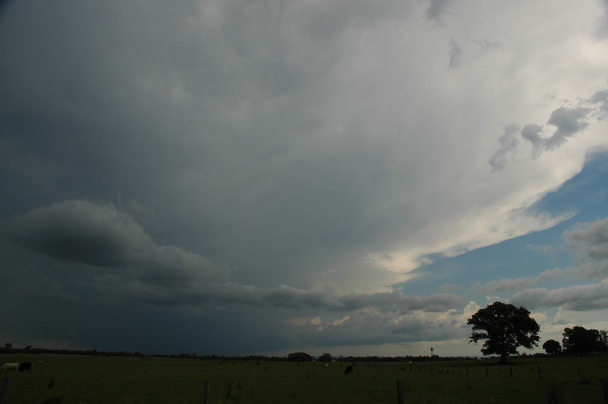 anvil thunderstorm_anvils : N of Casino, NSW   8 November 2006