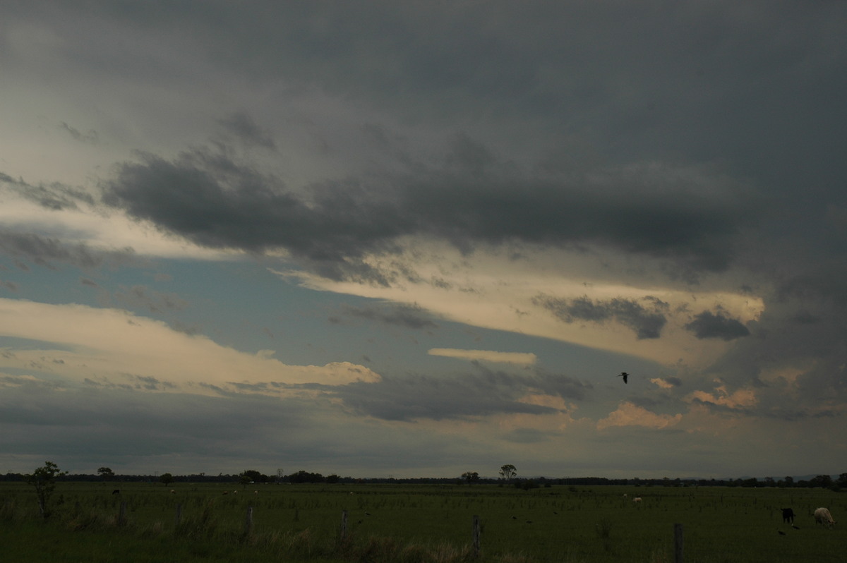 anvil thunderstorm_anvils : N of Casino, NSW   8 November 2006