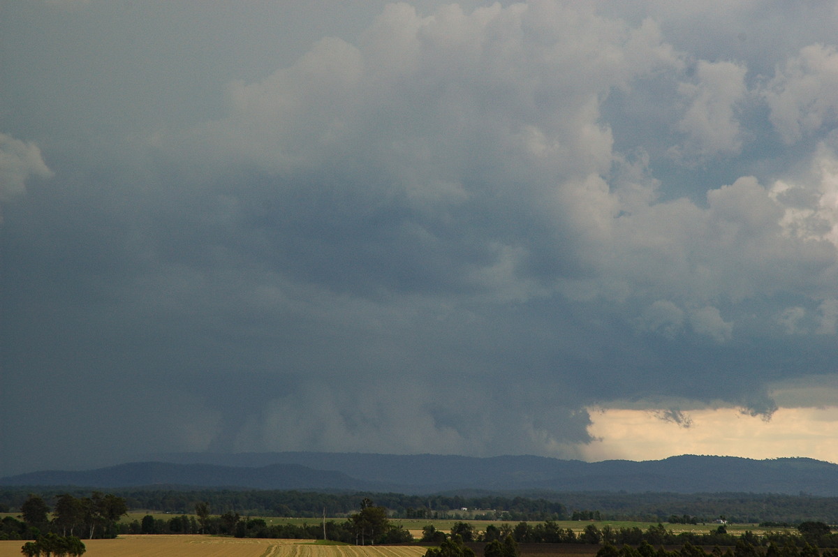 wallcloud thunderstorm_wall_cloud : N of Casino, NSW   8 November 2006