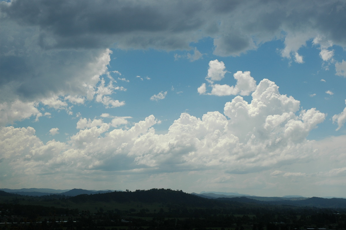 cumulus congestus : Kyogle, NSW   8 November 2006