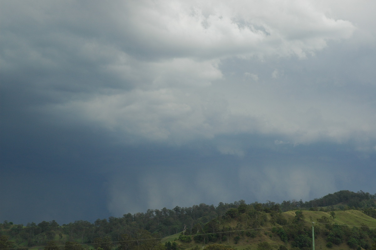 wallcloud thunderstorm_wall_cloud : Wiangaree, NSW   8 November 2006