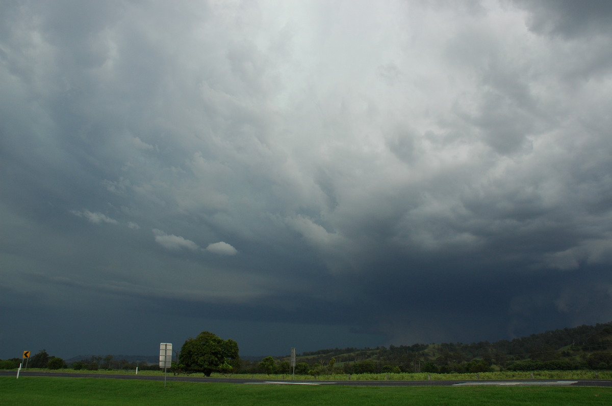 inflowband thunderstorm_inflow_band : Wiangaree, NSW   8 November 2006