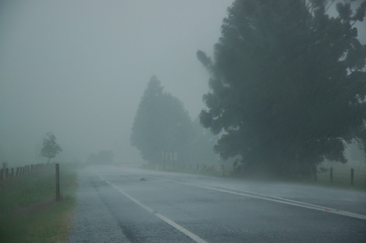 precipitation precipitation_rain : N of Wiangaree, NSW   8 November 2006