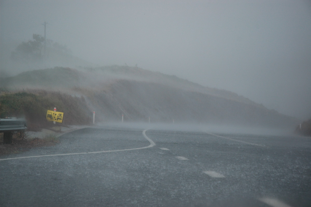 precipitation precipitation_rain : N of Wiangaree, NSW   8 November 2006