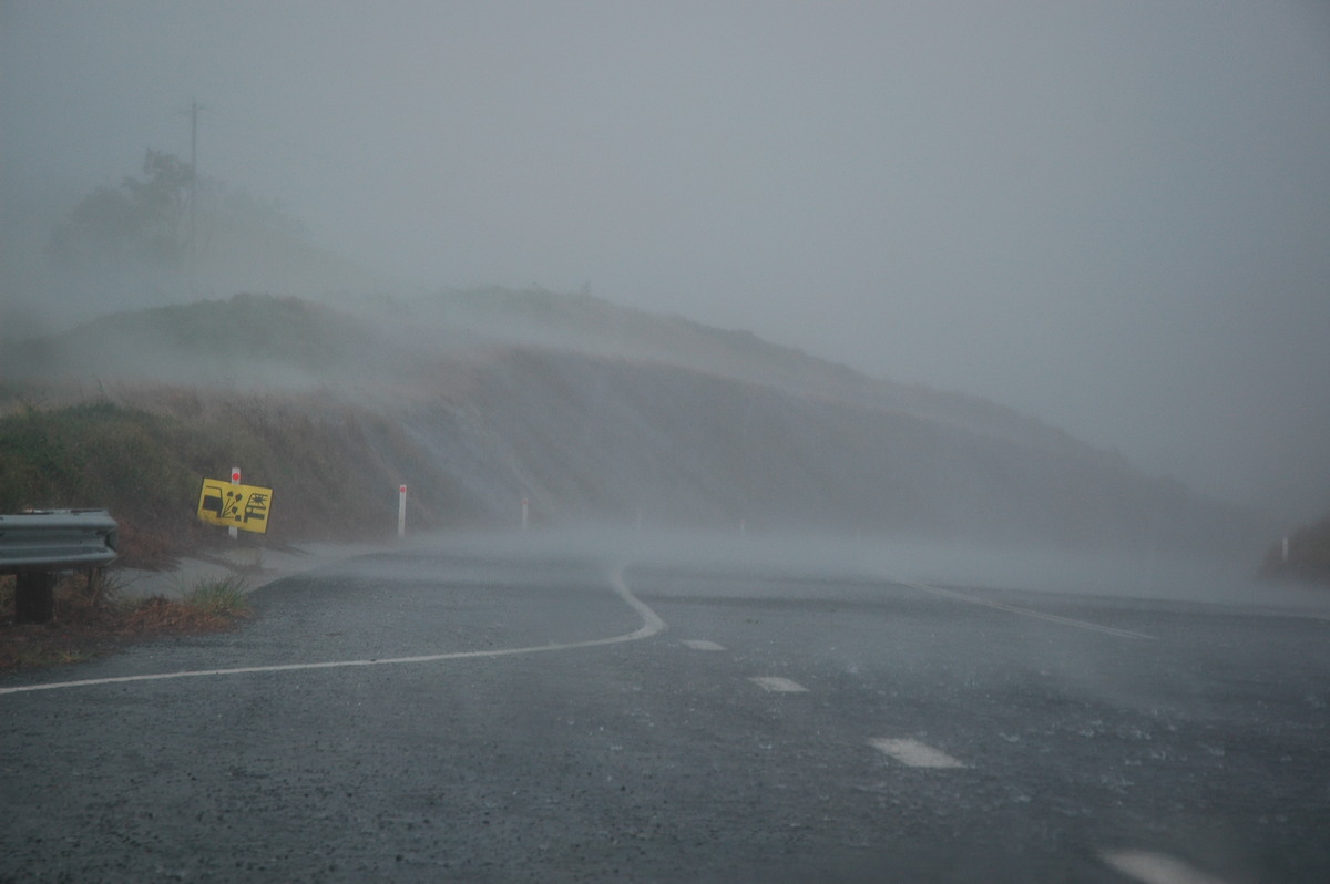 precipitation precipitation_rain : N of Wiangaree, NSW   8 November 2006