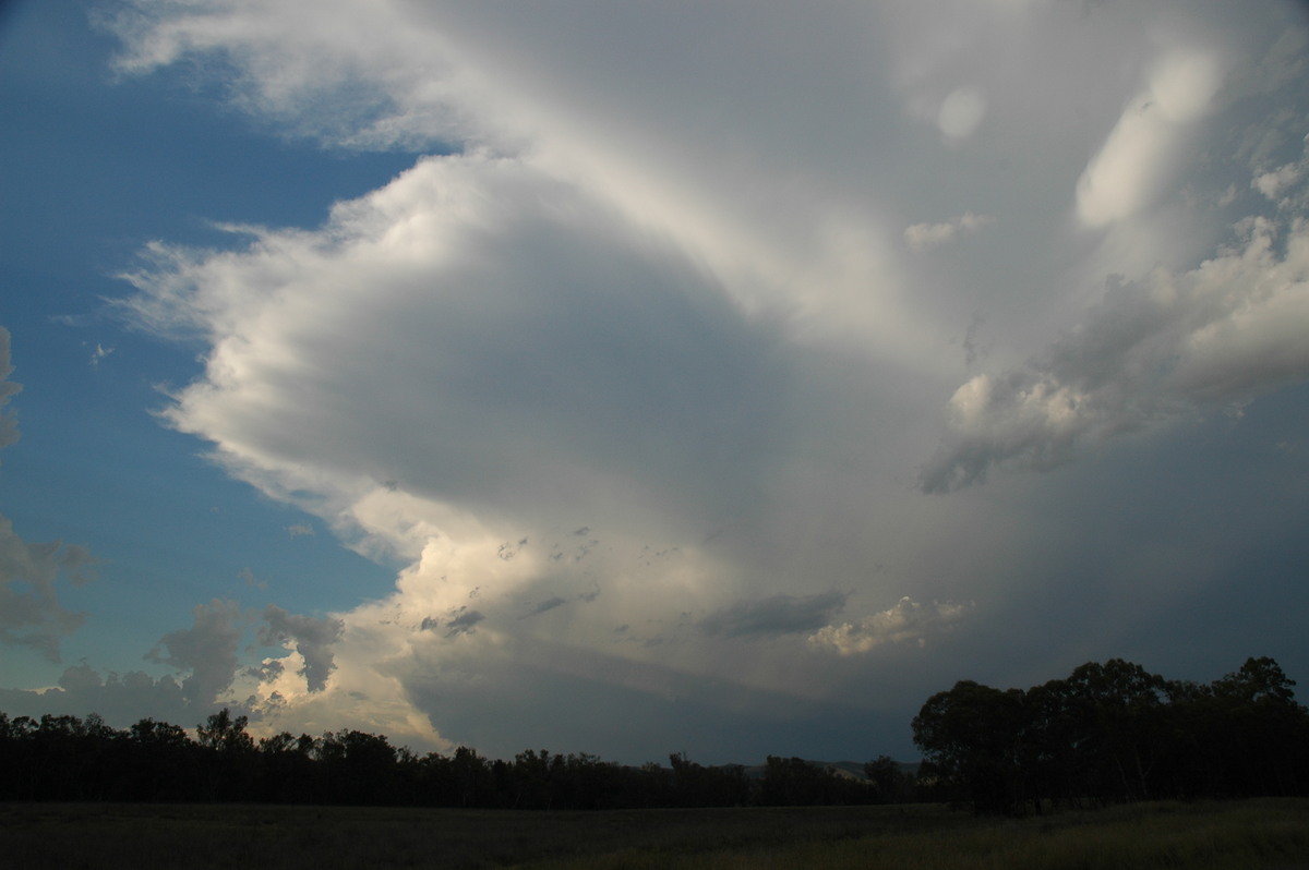 anvil thunderstorm_anvils : W of Tenterfield, NSW   8 November 2006