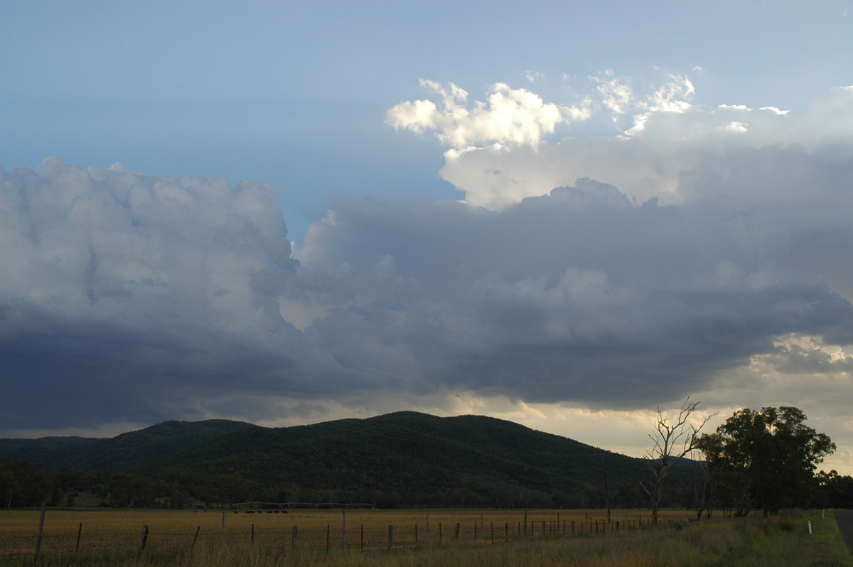 cumulus mediocris : W of Tenterfield, NSW   8 November 2006