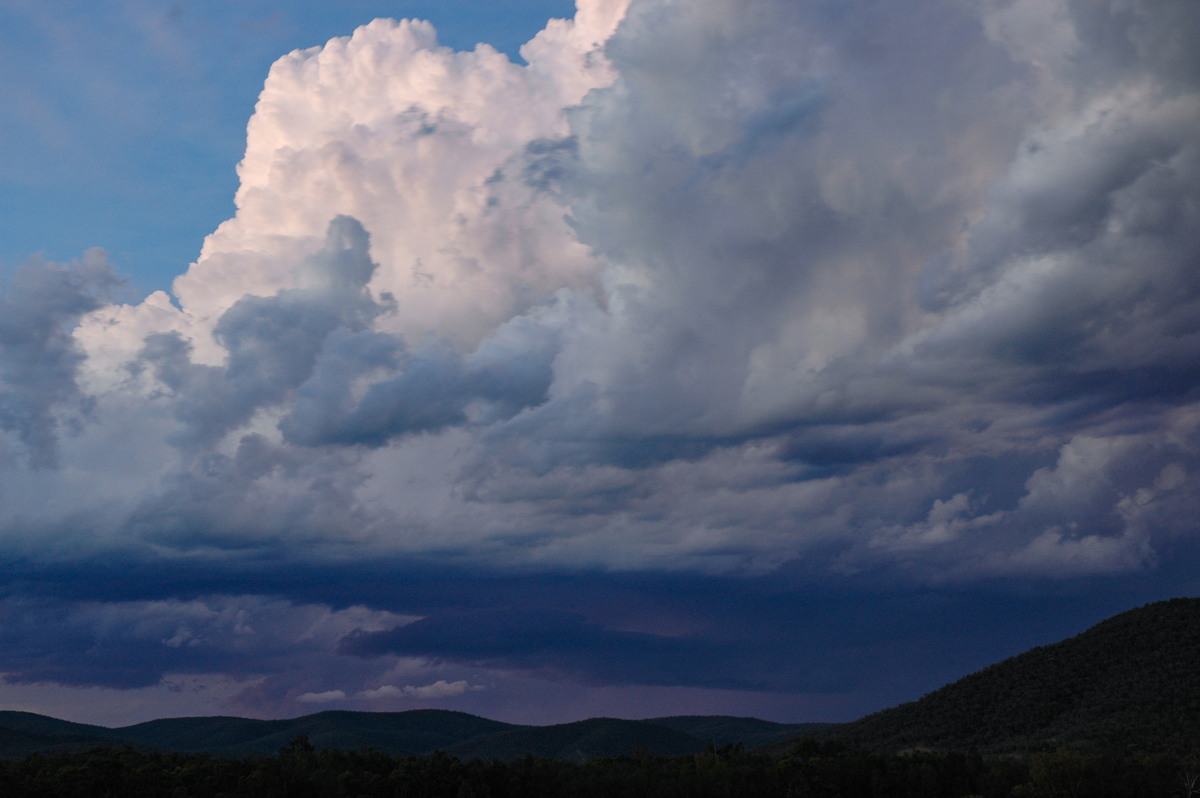 thunderstorm cumulonimbus_calvus : W of Tenterfield, NSW   8 November 2006