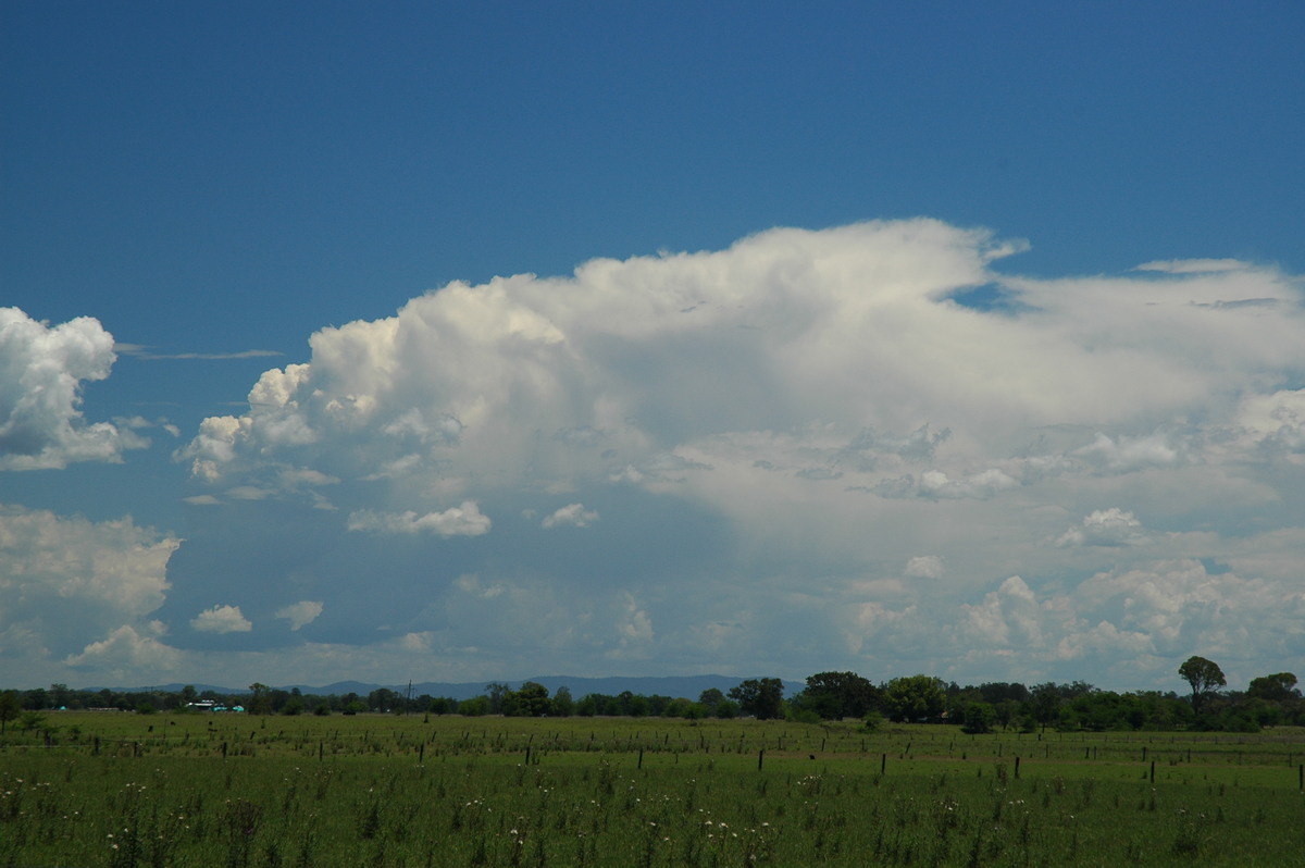 thunderstorm cumulonimbus_incus : McKees Hill, NSW   11 November 2006