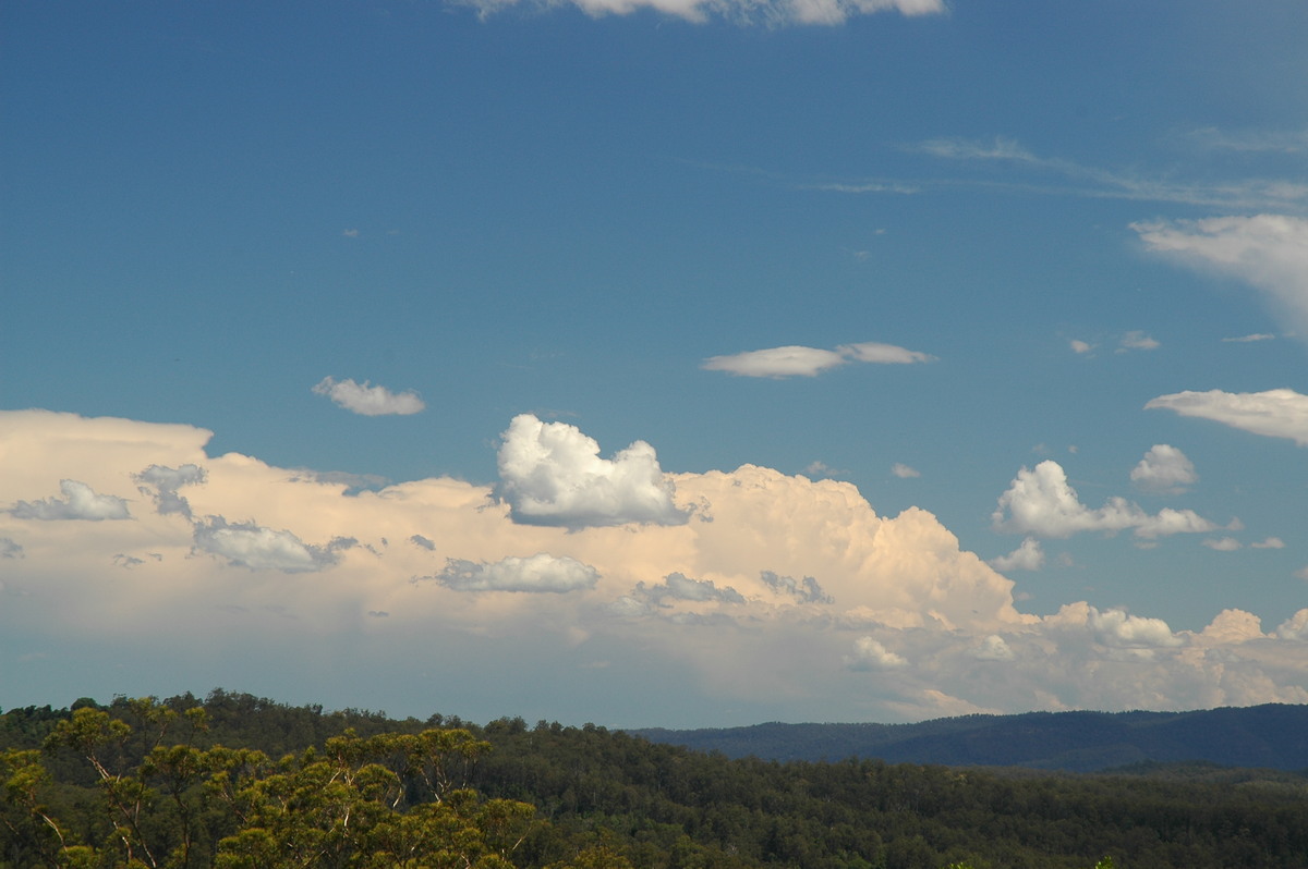 thunderstorm cumulonimbus_incus : Mallanganee NSW   11 November 2006