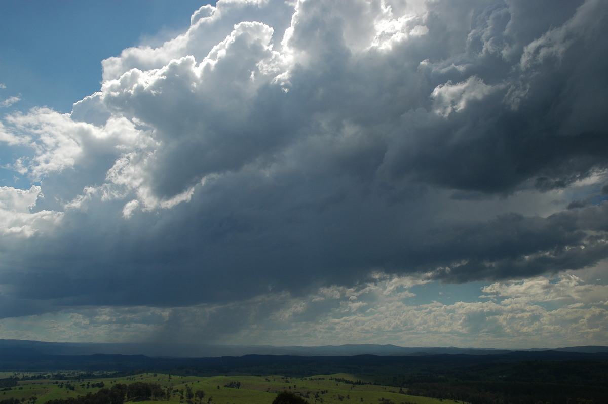 thunderstorm cumulonimbus_calvus : Mallanganee NSW   11 November 2006