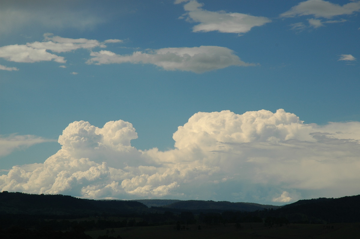 thunderstorm cumulonimbus_calvus : Tabulum, NSW   11 November 2006