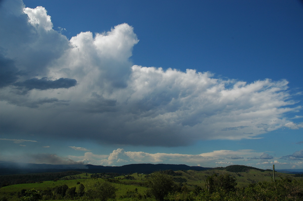 anvil thunderstorm_anvils : Mallanganee NSW   11 November 2006