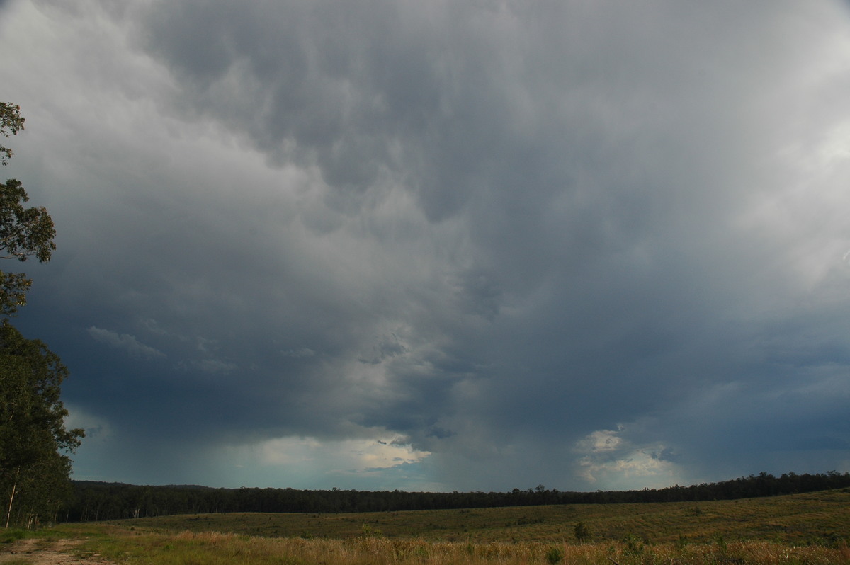 mammatus mammatus_cloud : Whiporie, NSW   11 November 2006